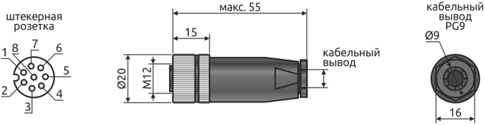 Нумерация контактов и габаритный размер и разъема кабельного HTE.Con-M12-8F